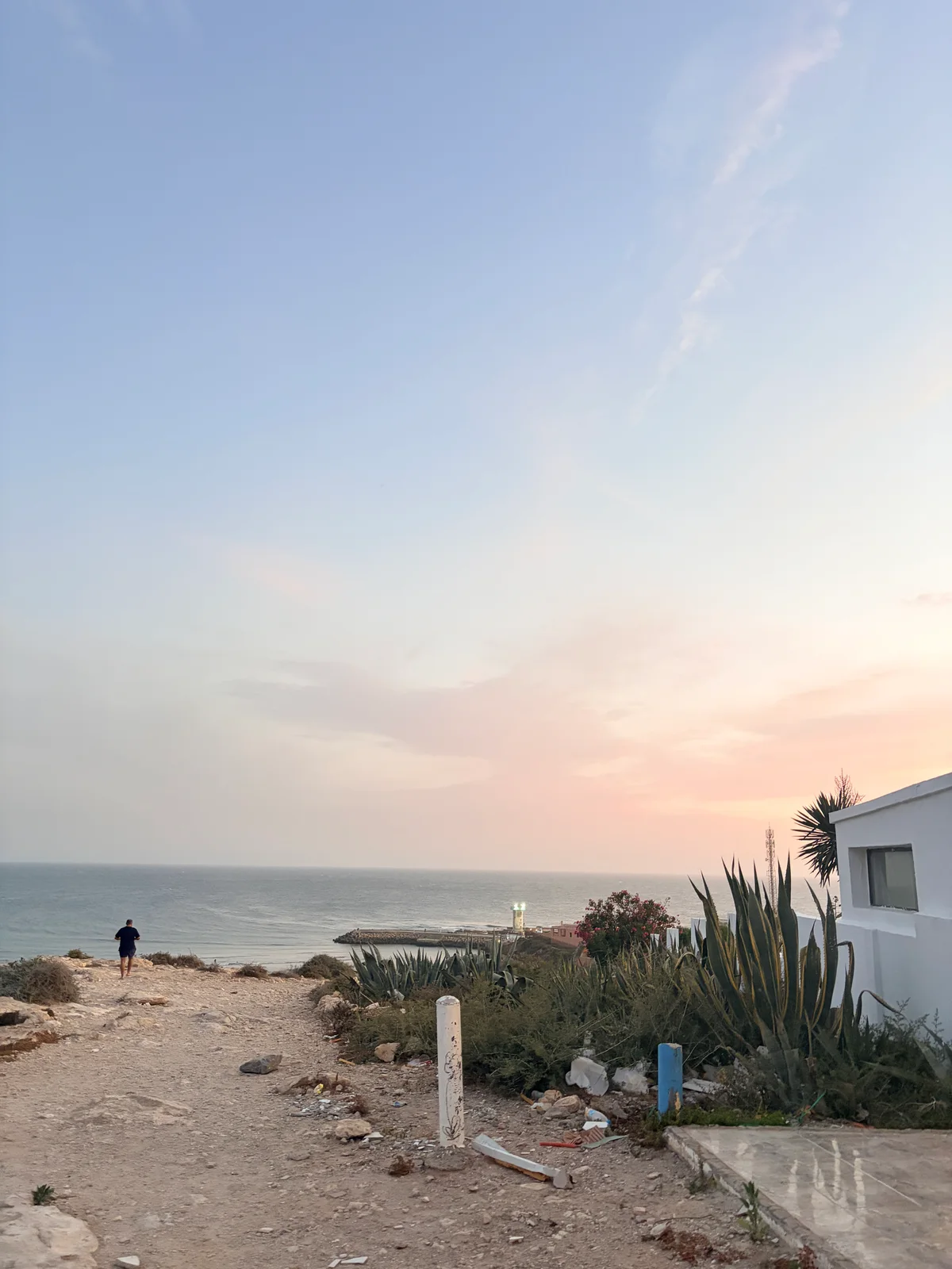 The shore · walking at dusk