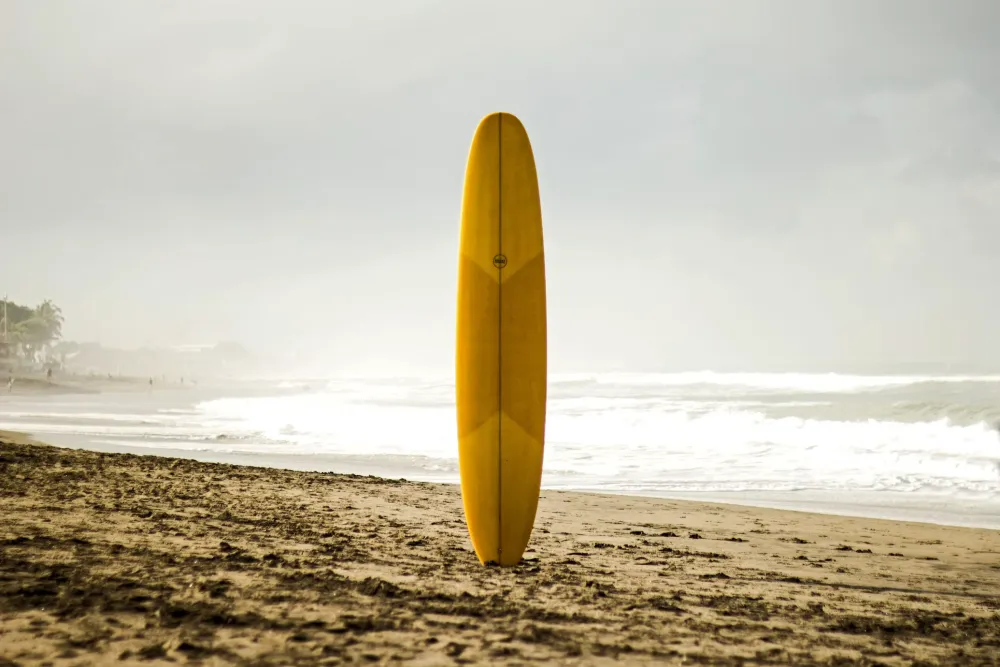 the lineup · Magic Bay